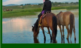 将军饮马,一场古代军事智慧的传奇之旅